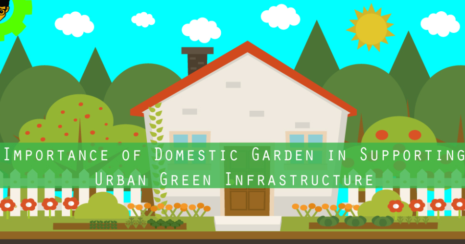 Importance of Domestic Garden in Supporting Urban Green Infrastructure