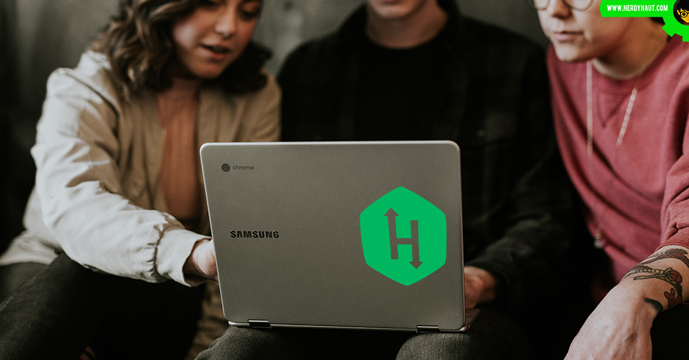 Programmers using HackerRank