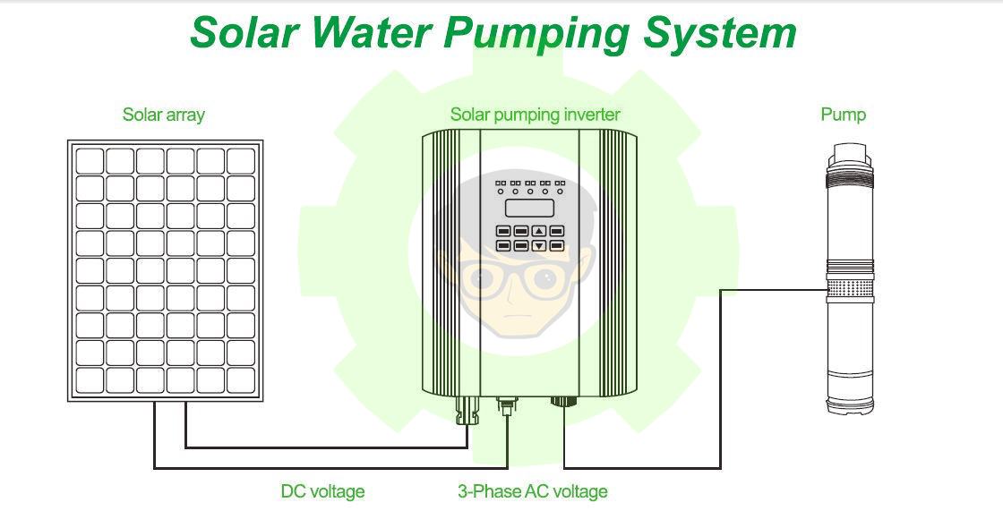 Induction motor coupled solar irrigation system