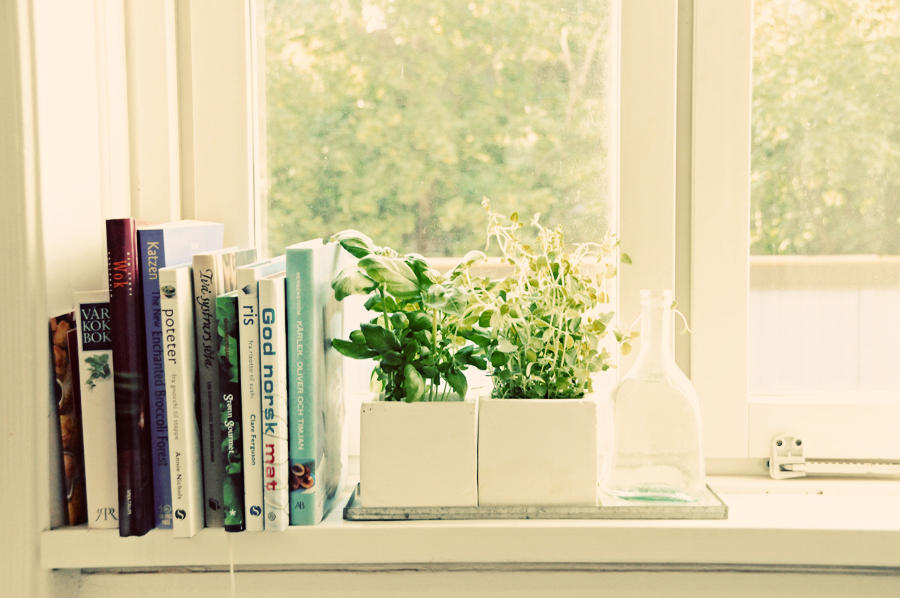 Dust free home
