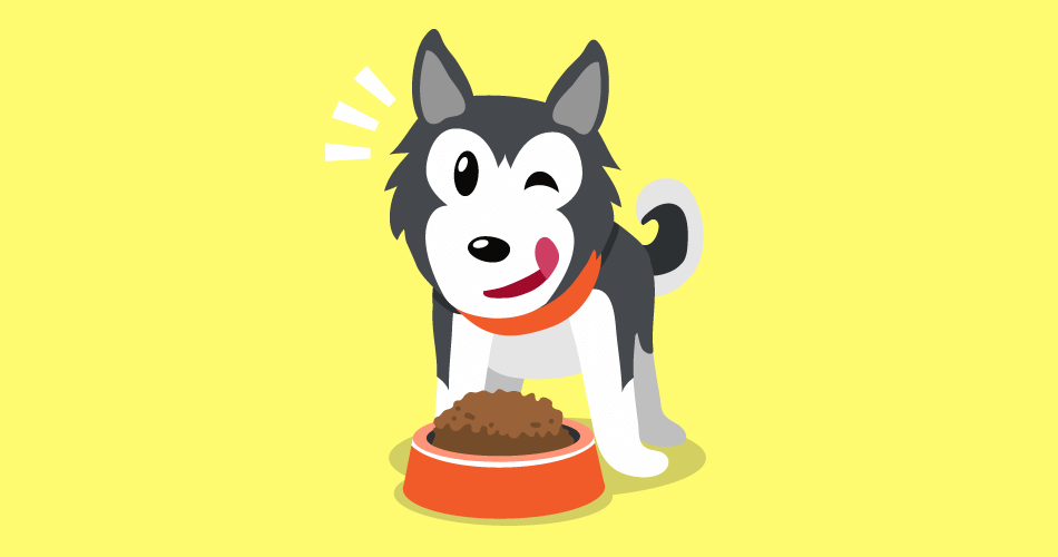 Dog Food Myths