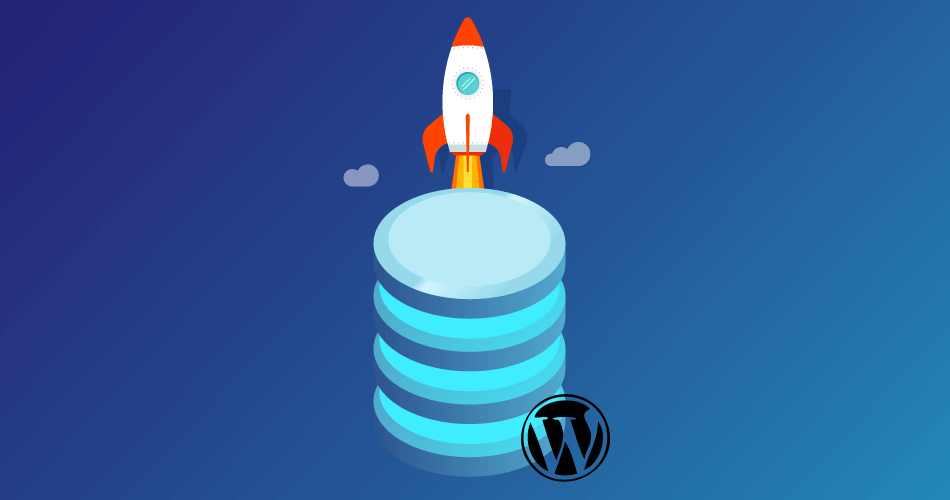Best WordPress Database Plugin Options to Accelerate Your Database