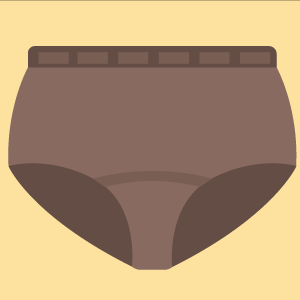 Briefs