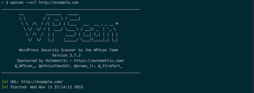 WP Scan Example