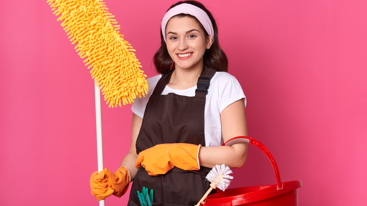 Professional Maid