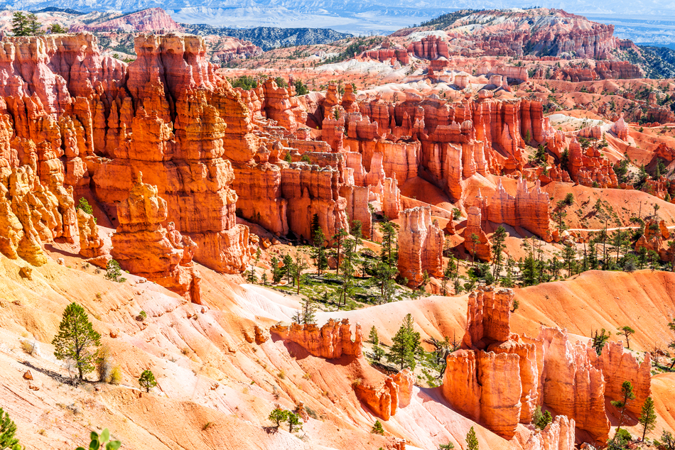 The Grand Canyon USA