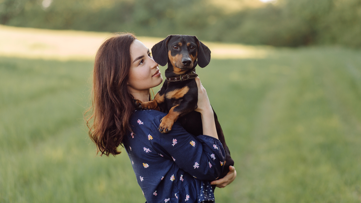 Dog E-Collar Training