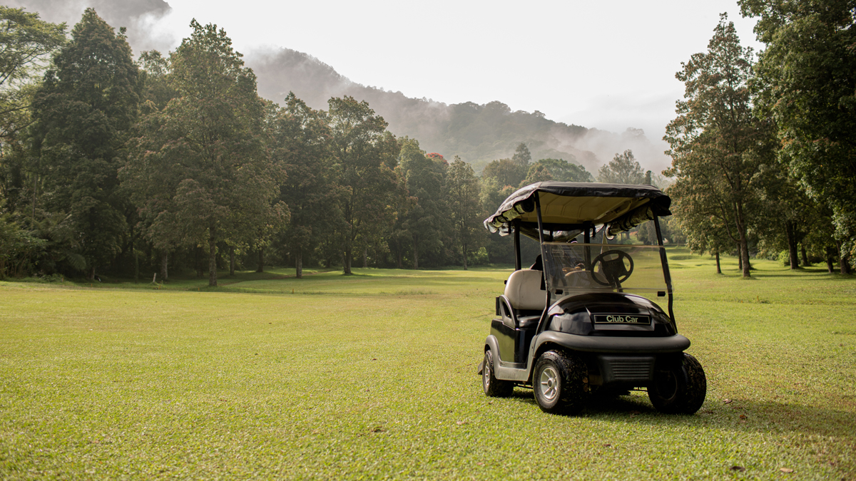 Have Your Golf Cart Serviced