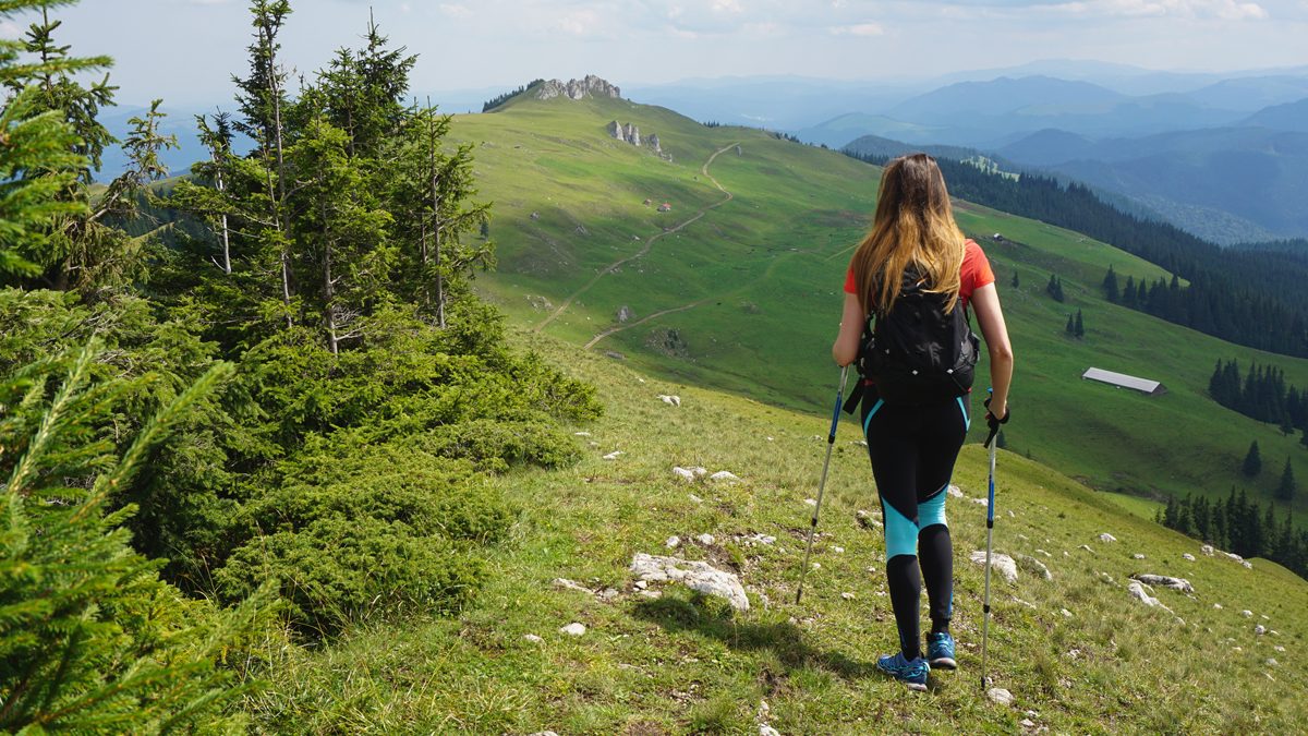 Top 8 High-Quality Gear Items for Your Next Adventure