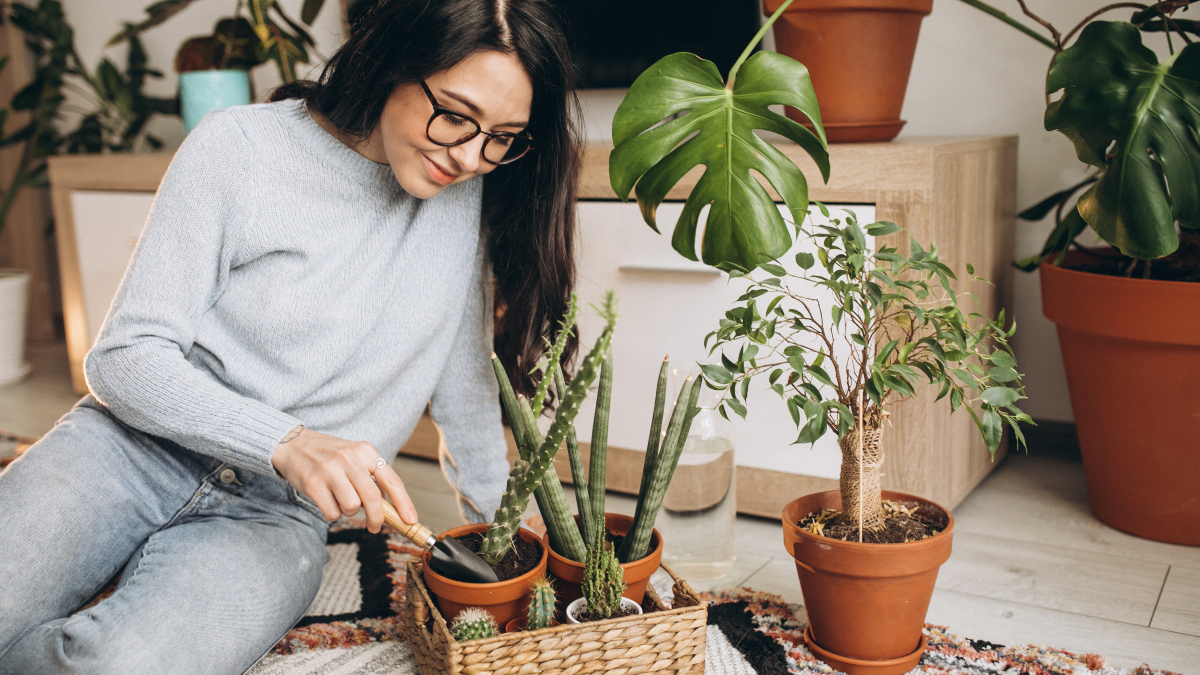 4 Exciting Hobbies You'll Want to Try Out
