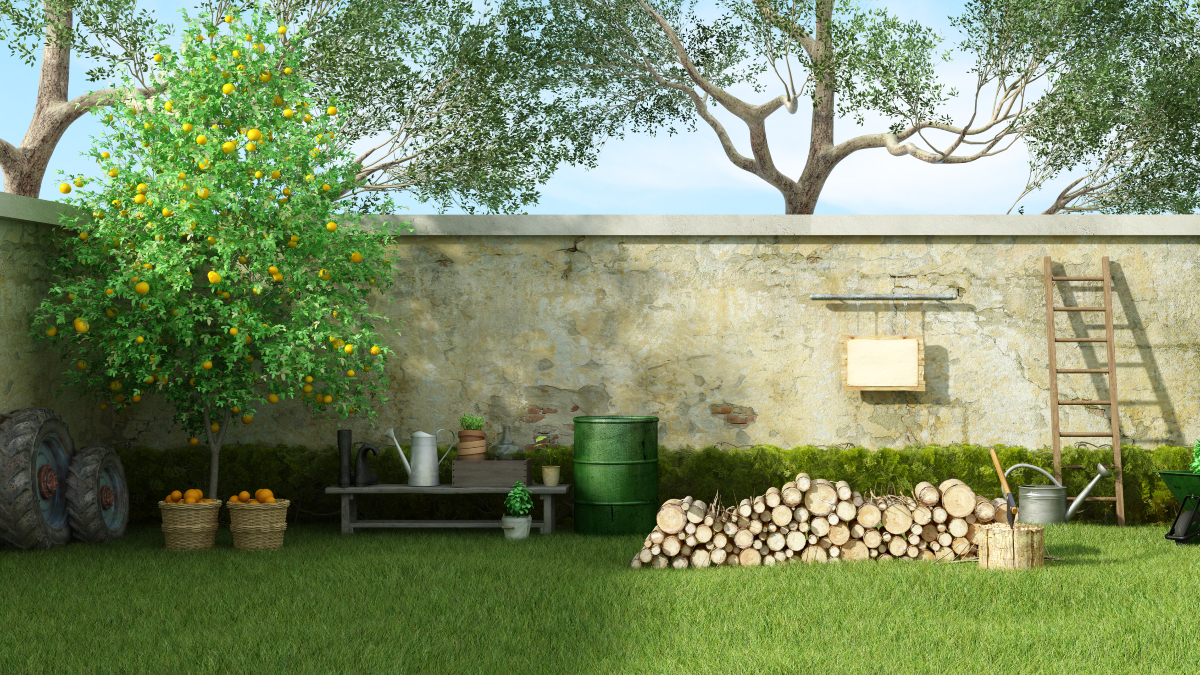 Top Tips to Help You Maintain a Beautiful Yard