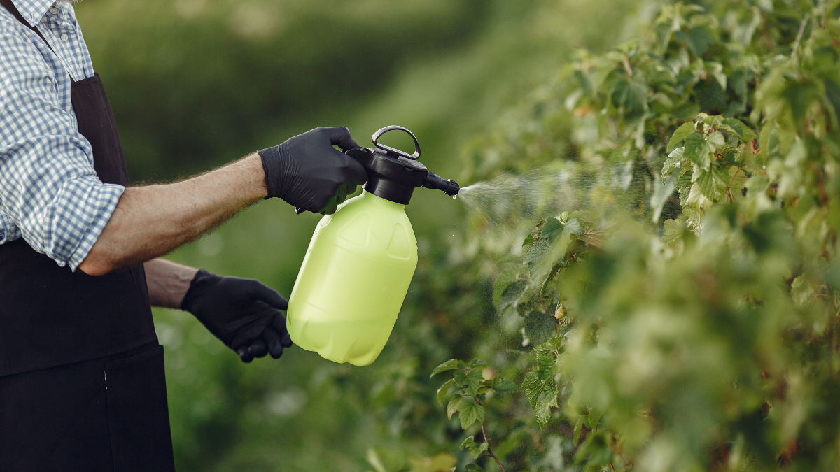 What Types of Chemicals Does Your Garden Need? Find Out Here