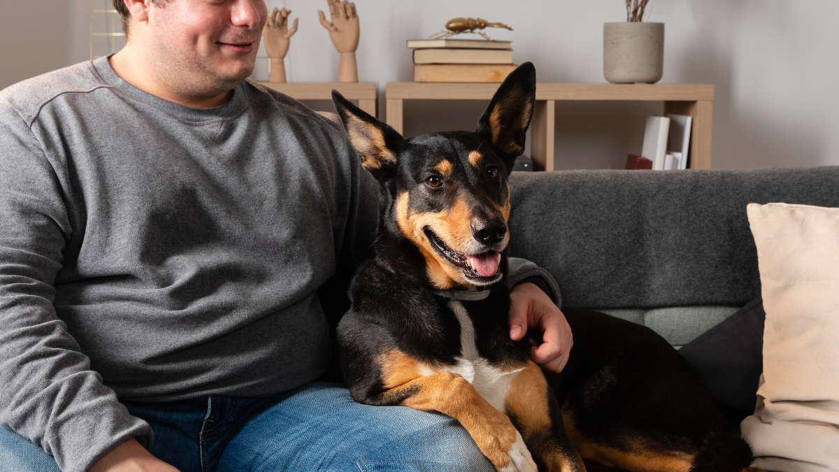 A Complete Guide to Dog's Behavior: How to Correct Strange Habits