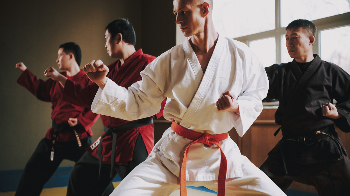 Reasons Why You Might Want to Learn Jiu-Jitsu