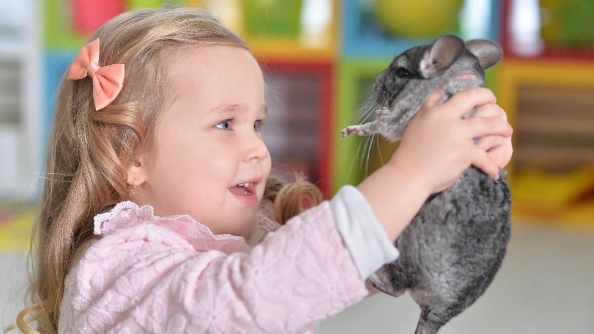 6 Things You Need to Do Before Bringing a New Pet Home