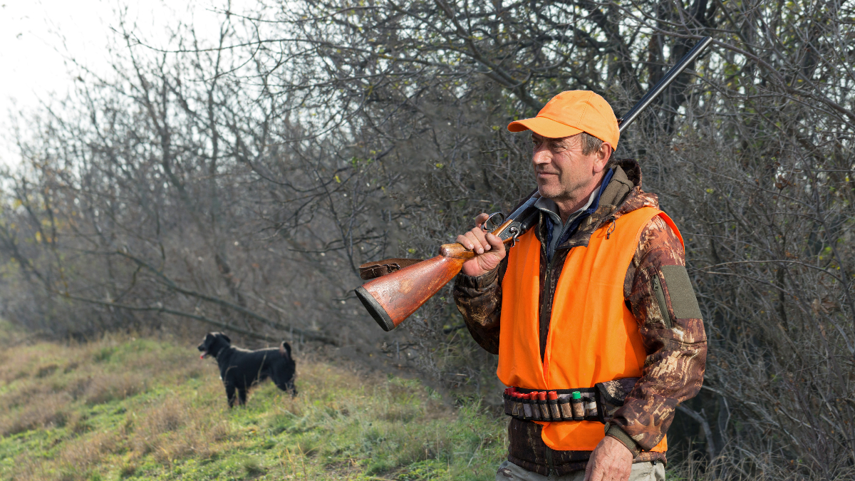 Do You Enjoy Hunting? Here Are Some Useful Tips