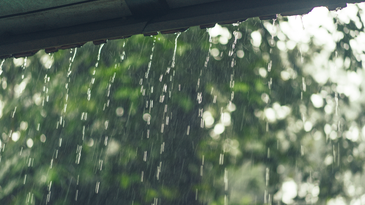 How to Reduce Runoff of Rainwater or Melted Snow Into Streets