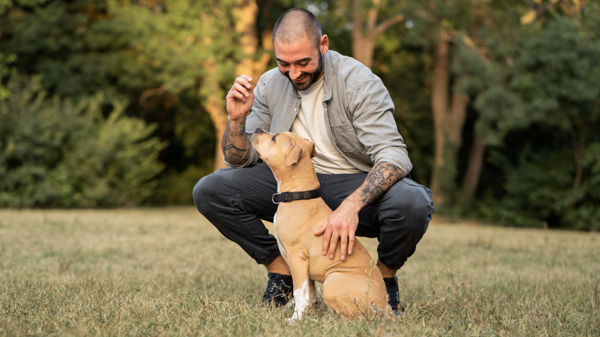 Useful Tips on How to Take Care of Your Beloved Dog