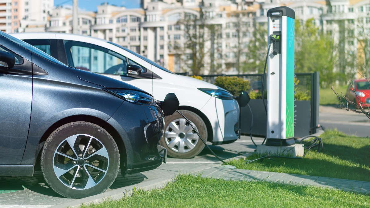 How to Select an Ideal Hybrid for Yourself