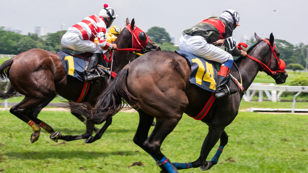 What Is the Best Bet to Make in Horse Racing