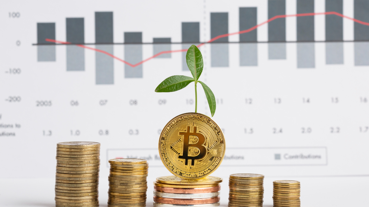 Why Such Hype about Bitcoin? Let's Find Out!