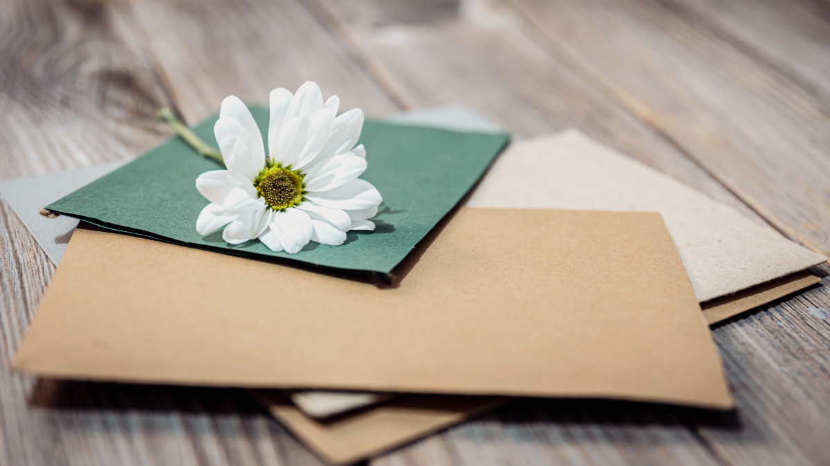 4 Real Estate Postcard Template Ideas That Will Grab Your Audience’s Attention