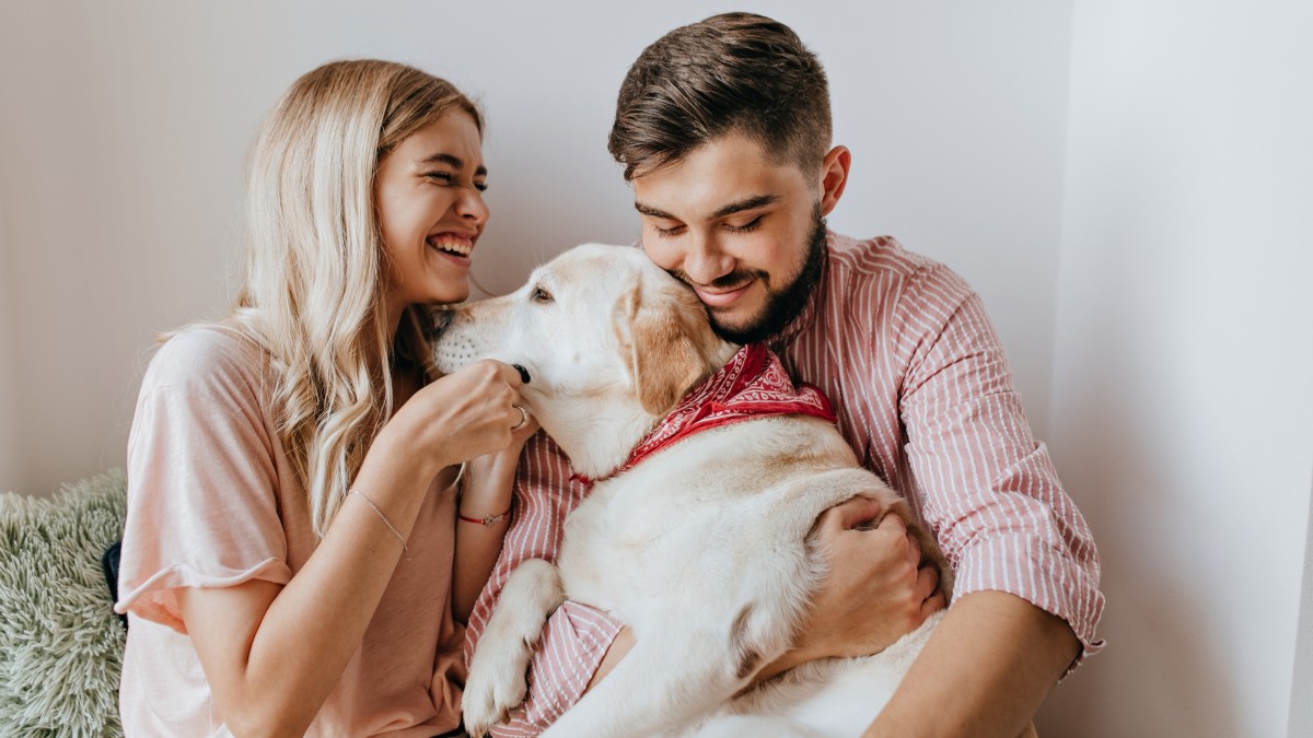 4 Ways That Getting a Pet Can Improve Your Household