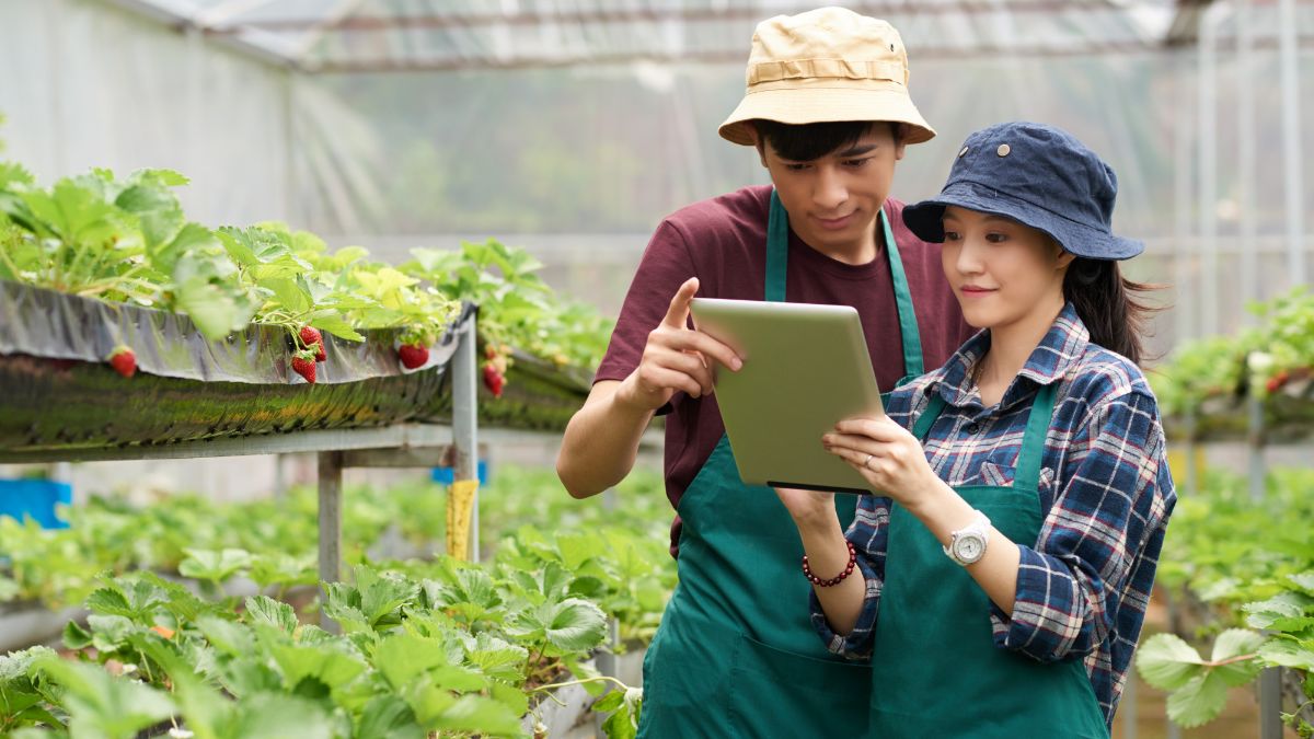 Smooth Out the Rough Patches in Your Small Business Processes