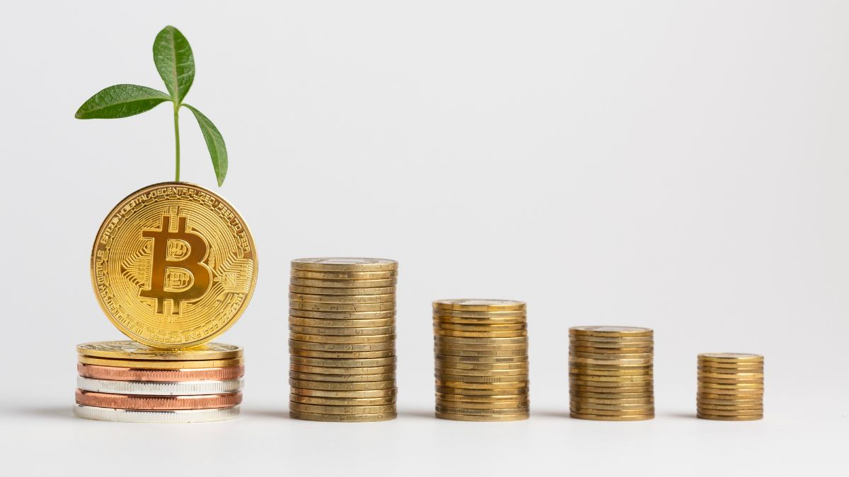 Is It Worth Investing in Bitcoins? The Benefits and Risks Explained