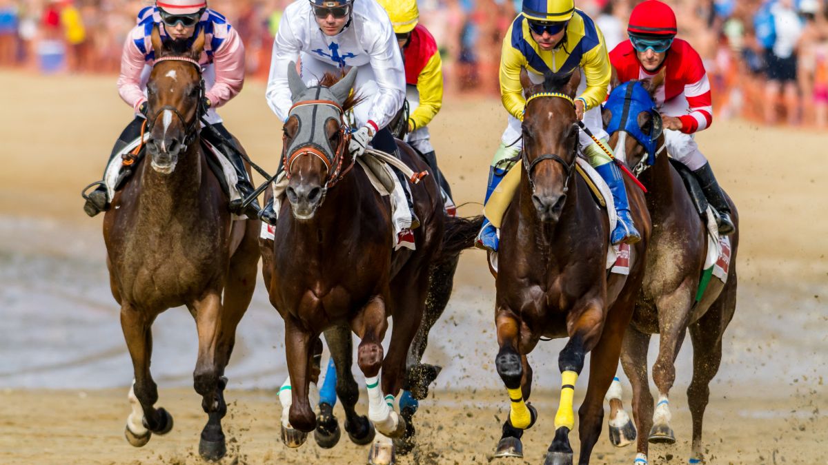 Are Horse Races Cancelled in the Rain